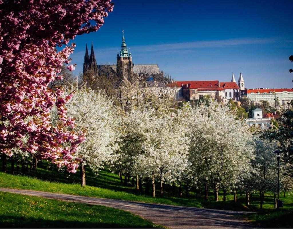 Vintage Apts In Heart Of Prague By Michal&Friends Apartment Exterior photo